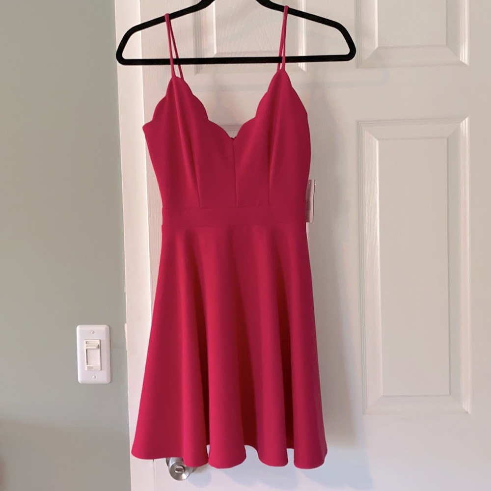 NWT Pink Scalloped Dress